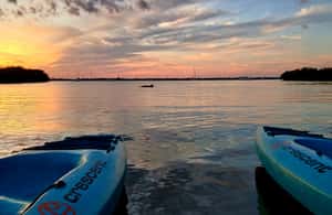 image n.3 of Cocoa Beach/Merritt Island: Guided Dolphin and Manatee Tour activity in Florida, uploaded by supplier