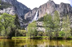 imagem n.3 de Aventura de acampamento de 3 dias no Vale de Yosemite atividade em Califórnia, carregada pelo fornecedor