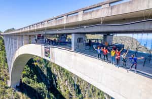 image n.3 of PLETTENBERG BAY: Bloukrans Bridge Skywalk Tour and HangOut activity in Eastern Cape, uploaded by supplier