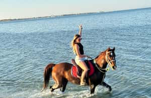 image n.4 of Hurghada: Desert and Beach Horse Riding Adventure activity in Hurghada, uploaded by supplier