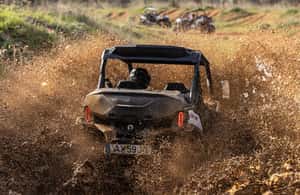 From Porto: Off-Road Buggy Adventure