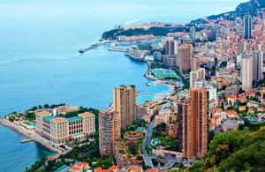 afbeelding n.3 van De Franse Rivièra in één dag vanuit Nice activiteit in Cannes, geüpload door aanbieder