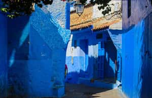 imagen n.º 4 de Desde Tánger: transporte de ida y vuelta a Chefchaouen. actividad en Tánger, subida por el proveedor