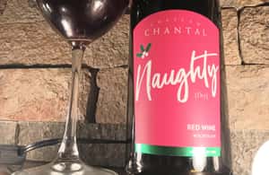 слика бр. 3 од ПУТ ЗА ДЕВОЈКЕ НЕ АУТОБУСОМ Винска тура Траверс Цити Олд Миссион активности у месту Мицхиган коју је отпремио пружалац активности