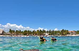 Obraz nr 3 z atrakcji Akumal: Snorkeling i zdjęcia z żółwiami w Akumal, przesłany przez organizatora