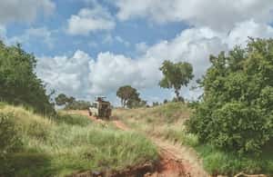 image n.4 of From Watamu: 2-Day Safari in Tsavo East National Park activity in Coast Province, uploaded by supplier