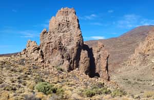 billede nr.4 af aktiviteten Teide National Park and Vilaflor; local wine tasting i Kanarieøerne, uploadet af udbyder