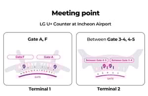 Image N°4 de Aéroport d'Incheon : Traveler SIM et carte de transport T-money activité à Séoul, publiée par le prestataire