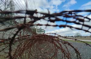 billede nr.3 af aktiviteten Berlin: Sachsenhausen koncentrationslejr og Potsdam-tur i Oranienburg, uploadet af udbyder