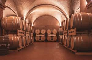 รูปภาพที่ 4 จาก เลอ มอเรตต์, อิล ลาโก และ ลา คูซินา กิจกรรมใน Italy อัปโหลดโดยซัพพลายเออร์