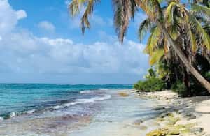 kuva n.4/SAN ANDRES: VENEKULJETUS + JOHNNY CAY + JOHNNY CAY aktiviteetista San Andrés, jonka toimittaja on ladannut