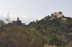 billede nr.4 af aktiviteten Heldagstur til Sintra med Pena-paladset og Quinta da Regaleira i Sintra, uploadet af udbyder