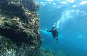 image n.3 of Mallorca: Try Scuba Diving by Boat activity in Porto Cristo, uploaded by supplier