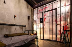image n.3 of Madrid: Torture Chamber - Escape Room game activity in Madrid, uploaded by supplier