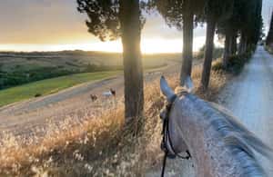 imagen n.º 4 de Siena: Paseos a caballo con Siena al fondo actividad en Siena, subida por el proveedor