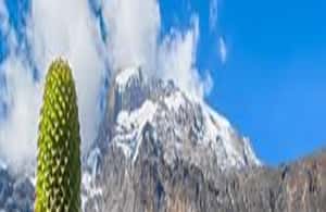image n.3 of #.1-Day Tour: Kilimanjaro Lemosho Route From Arusha/Moshi activity in Kilimanjaro, uploaded by supplier