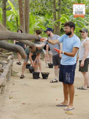 billede nr.2 af aktiviteten Koh Samui: Indgang til elefantreservat og fodringsoplevelse i Thailandbugten, uploadet af udbyder