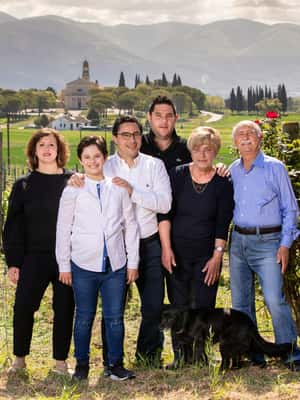 Immagine nº 2 di Montefalco: Tour della cantina e del vigneto e degustazione privata attività a Montefalco, caricata dal fornitore