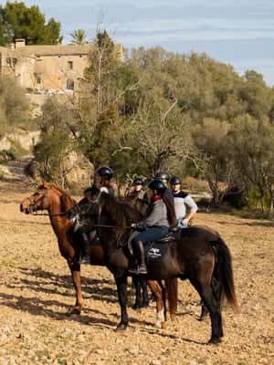 image n.2 of Mallorca: Guided Horseriding Tour of Randa Valley activity in Randa, uploaded by supplier