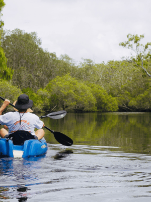 Bild Nr. 2 von Noosa: Kajak-Tour durch die Noosa Everglades und das Stingray Sanctuary Aktivität in Sunshine Coast, hochgeladen vom Anbieter