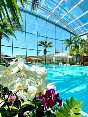 image n.2 of Bucharest: All Day Therme with Elysium Experience activity in Balotesti, uploaded by supplier
