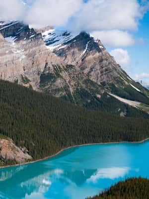 imagem n.2 de De Canmore/Banff: Experiência na Icefields Parkway atividade em Alberta, carregada pelo fornecedor