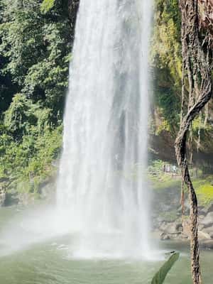 image n.2 of From Palenque: Misol-Ha & Agua Azul Waterfalls Day Tour activity in Chiapas, uploaded by supplier