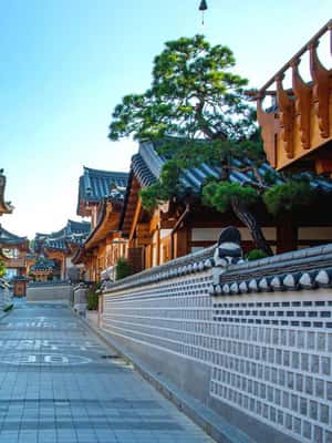 image n.2 of Seoul Suburbs Private Chartered Car Tour for 10HR activity in Yongin-si, uploaded by supplier