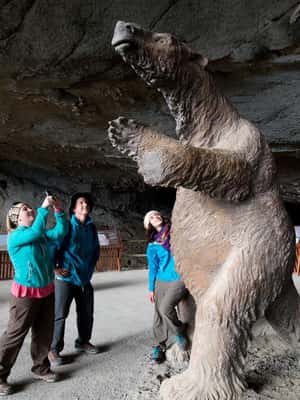 image n.2 of Puerto Natales: Full Day Torres del Paine + Milodon Cave activity in Puerto Natales, uploaded by supplier