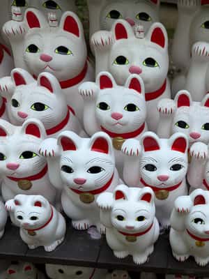 image n.2 of Tokyo/Yokohama/Kamakura: Guided Walking Experience activity in Yokohama, uploaded by supplier