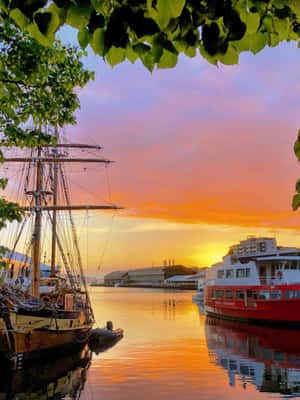 image n.2 of Hobart: Morning River Cruise activity in Hobart, uploaded by supplier