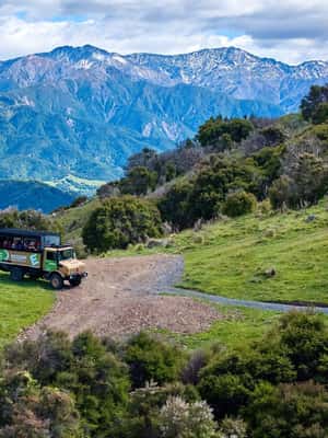 image n.2 of Kaikōura: Zipline and Native Forest Adventure Trip activity in Kaikoura, uploaded by supplier