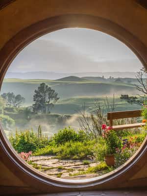 image n.2 of From Auckland: Hobbiton and Waitomo Caves Small Group Tour activity in Waitomo, uploaded by supplier