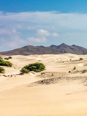 imagem n.2 de Passeio de dia inteiro de 4x4 pela ilha de Boa Vista com almoço à beira-mar atividade em Santa Maria, Cabo Verde, carregada pelo fornecedor