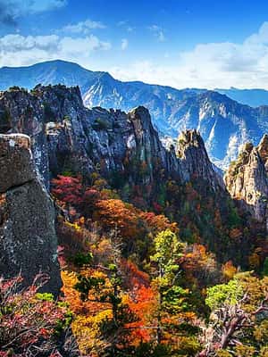 imagen n.º 2 de Seúl: Mt.Seorak, Isla Nami, No Shopping(+Opción TrenBici) actividad en Provincia de Gangwon, subida por el proveedor