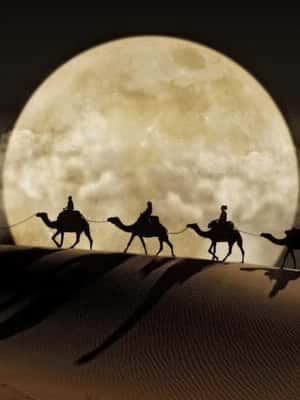 image n.2 of Doha: Night Desert Safari, Stargazing, Dune Driving &Inland activity in Qatar, uploaded by supplier