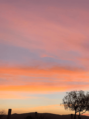 image n.2 of Tequisquiapan: UTV Adventure Tour with Guide activity in Tequisquiapan, uploaded by supplier