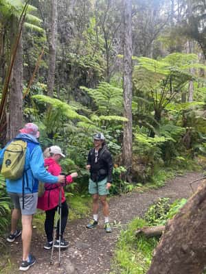 image n.2 of Kilauea: Volcanoes National Park Guided Hike activity in Hawaii, uploaded by supplier