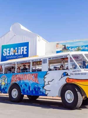image n.2 of Sunshine Coast: 1-Hour Land and Water Tour activity in Queensland, uploaded by supplier