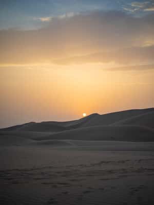 Immagine nº 2 di Da Muscat: Safari privato nel deserto, pernottamento e Wadi Khalid attività a Regione al-Sharqiyya, caricata dal fornitore