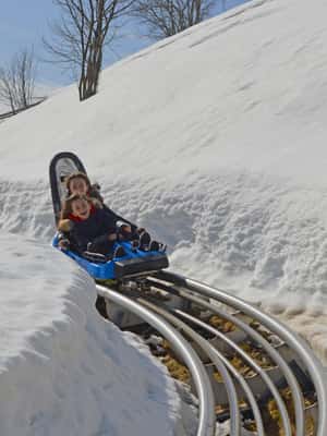 billede nr.2 af aktiviteten Stresa: Alpyland Alpine Coaster Ride på Mount Mottarone i Mottarone, uploadet af udbyder