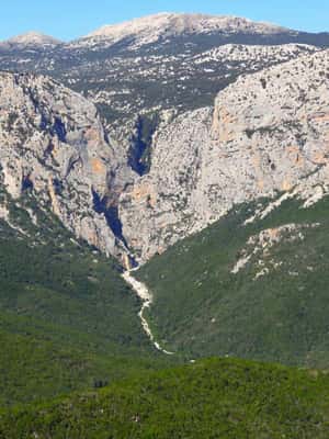 Bild Nr. 2 von Von Cala Gonone aus: Gorropu-Wanderung mit Mittagessen Aktivität in Sardinien, hochgeladen vom Anbieter