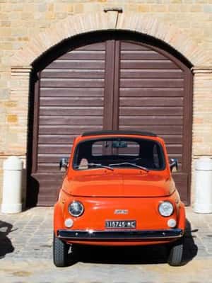 slika br. 2 iz kolekcije Marche: Obilazak starodobnim Fiatom 500 oko brda Verdicchio aktivnosti u mjestu Iesi, prenio opskrbni partner