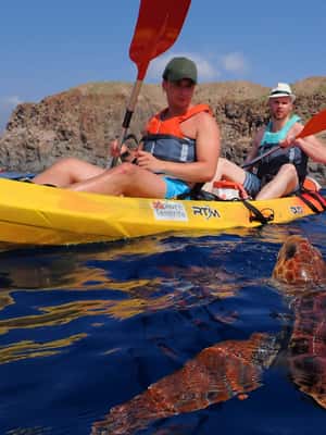 image n.2 of Tenerife: Kayak and Snorkel with Turtles with Free Videos activity in Los Cristianos, uploaded by supplier