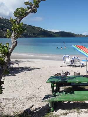 billede nr.2 af aktiviteten Thomas: Magens Bay Beach Budget dagsudflugt i Peterborg, St. Thomas, uploadet af udbyder