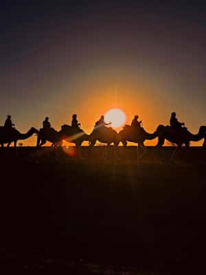 From Marrakesh: Agafay Desert Sunset, Camel Ride, and Dinner
