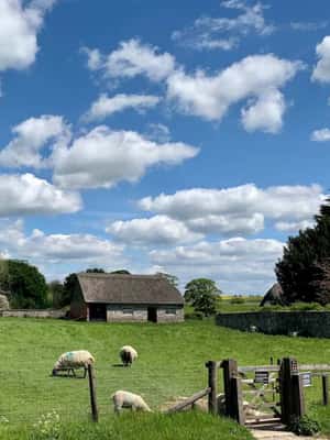 image n.2 of From London: Stonehenge & The Stone Circles of Avebury Tour activity in Amesbury, uploaded by supplier