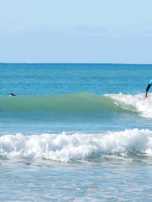 afbeelding n.2 van Albufeira: Surfles op het strand van Galé activiteit in Albufeira, geüpload door aanbieder