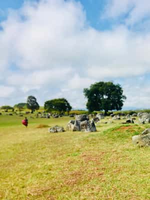 imagen n.º 2 de Excursión de un día a la Llanura de las Jarras actividad en Phonsavan, subida por el proveedor