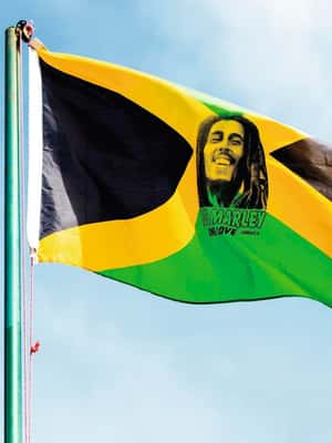 imagem n.2 de Excursão compartilhada/privada de dia inteiro às Blue Mountains - Principais atrações atividade em Kingston, Jamaica, carregada pelo fornecedor